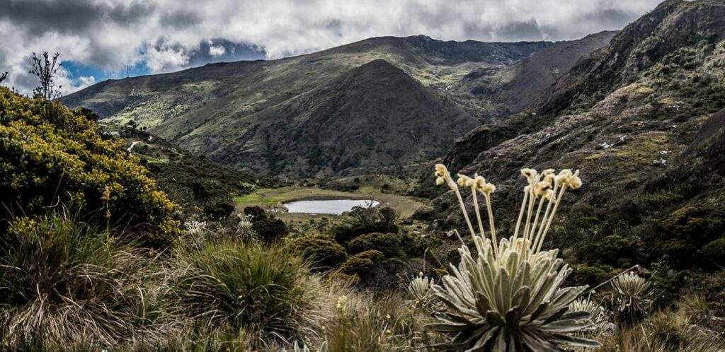 noticia-paramo-de-santurban